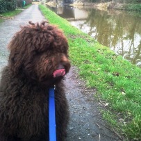 Roscoe Christleton Canal